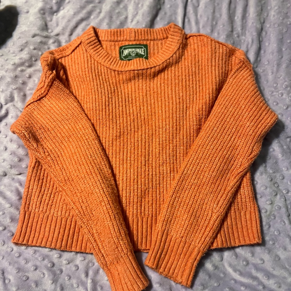 NWOT American Eagle super high quality thick ribbed sweater. Color in 2nd pic
